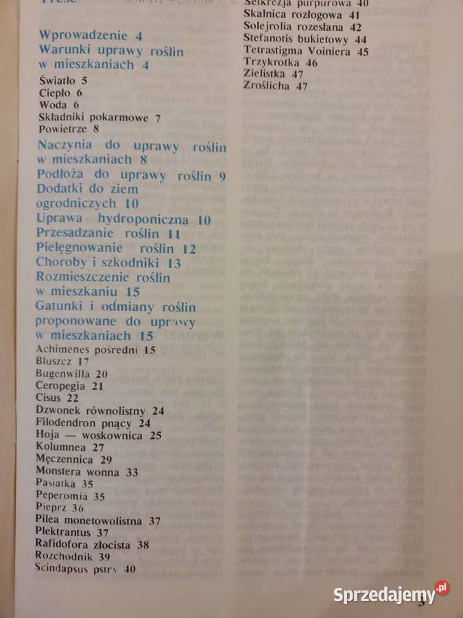 Rośliny pnące ozdobą mieszkania Mieczysław Wrocław