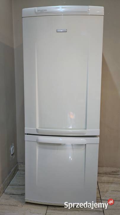 Lodówka Electrolux wysokość 154 pojemność 269 Lipno sprzedam