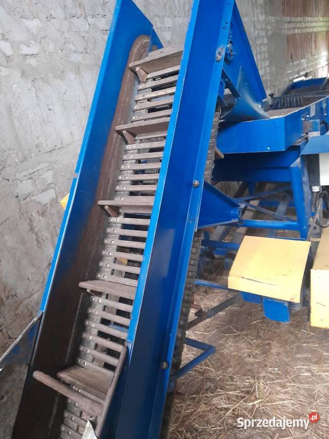 Sortownik do ziemniaków Winiary Dolne