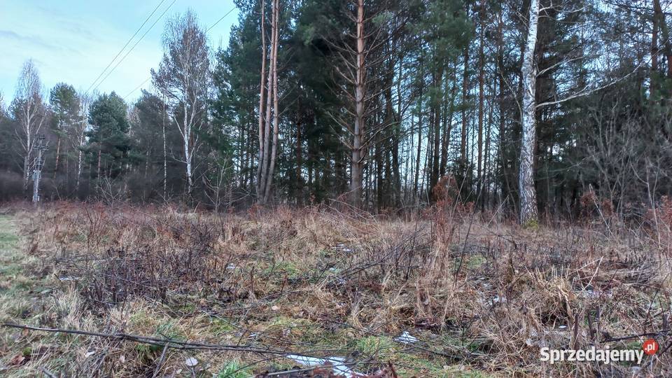 Działka budowlana Tumlin Osowa 2480m2 gmina Tumlin-Osowa