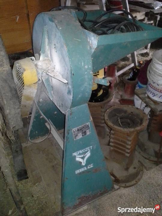 Śrutownik bijakowy bąk kilka sztuk Konina