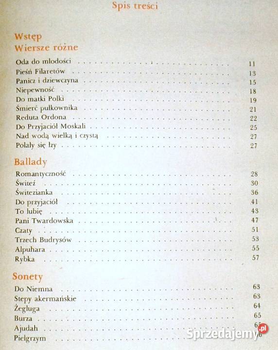 To lubię Adam Mickiewicz Chełm