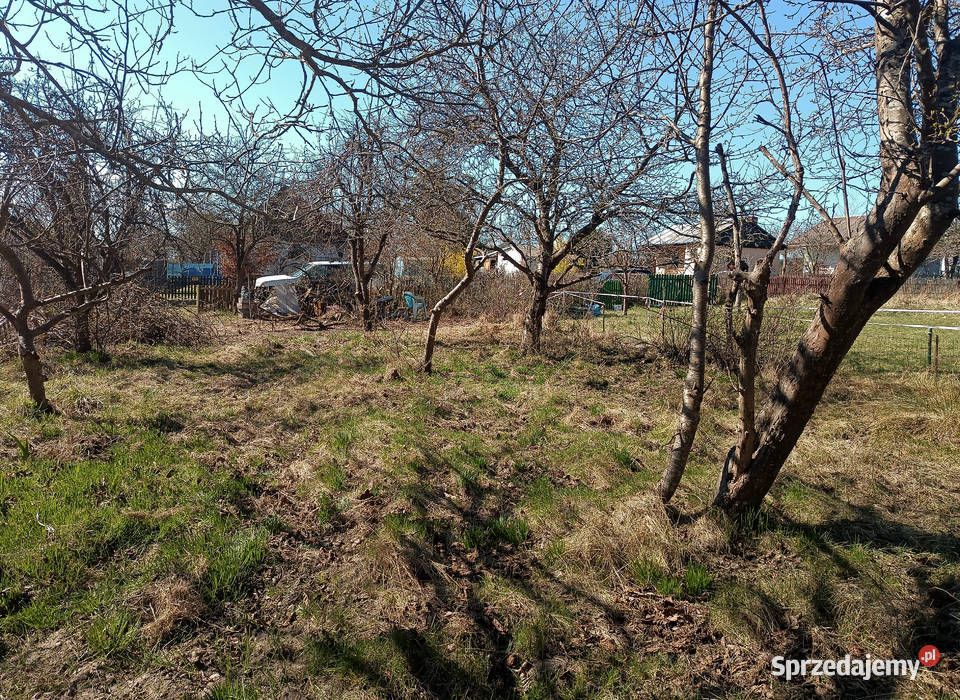 Działka ROD Przylesie obok Ikea rekreacyjna Gdańsk