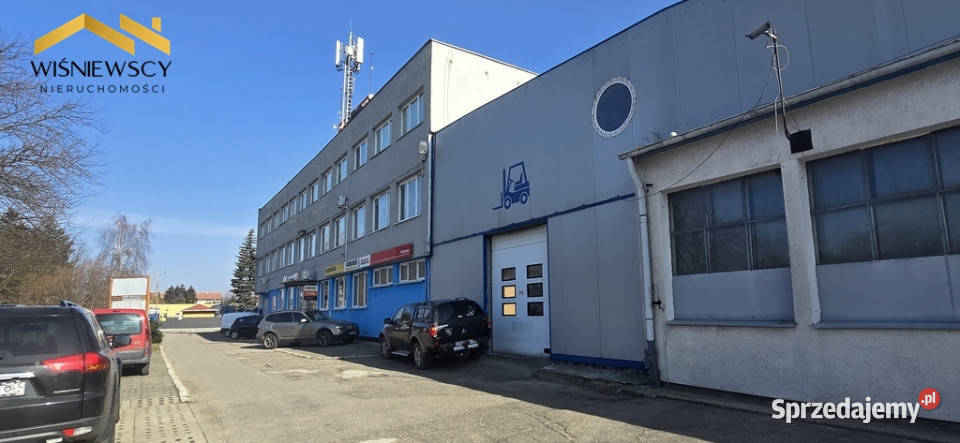 Hala Berlin 1274 m Elbląg S7 sprzedam