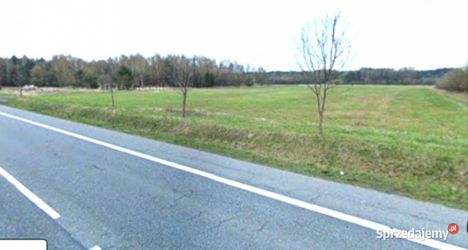 sprzedaż działka inwestycyjna 20205ha Grodziec inwestycyjna