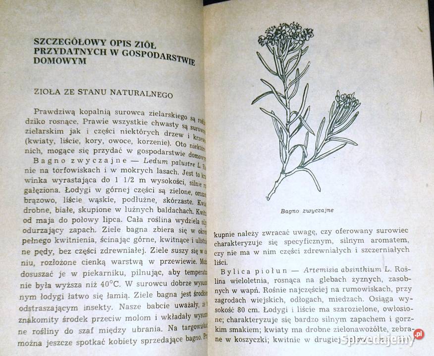 Zioła w gospodarstwie domowym Janina Obidzińska miękka Chełm