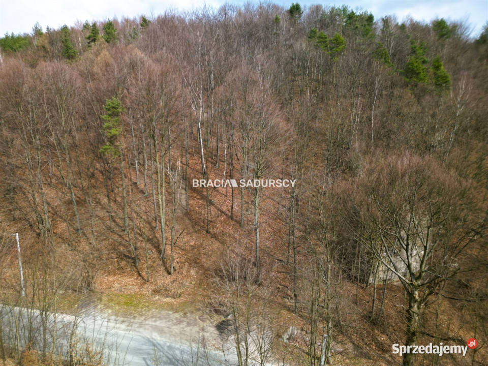 Działkę sprzedam Jerzmanowice Zachodnia 700m2 leśna małopolskie