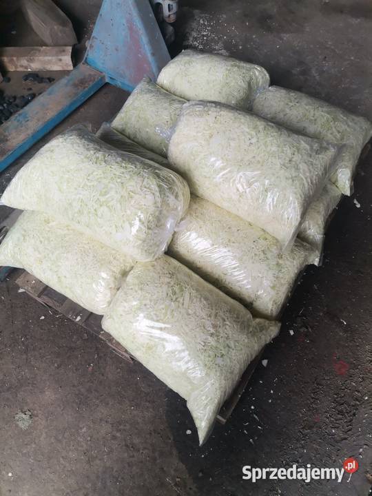 SPRZEDAM KAPUSTA SZATKOWANA SZATKA KAPUSTA Proszowice