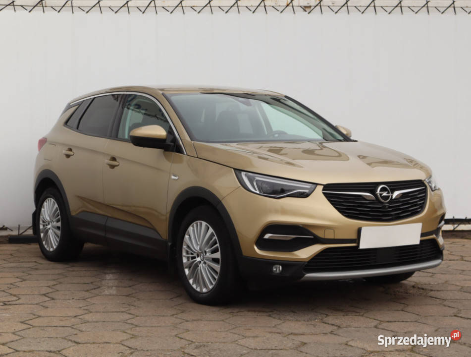 Opel Grandland 12 Turbo elektryczne lusterka Łódź