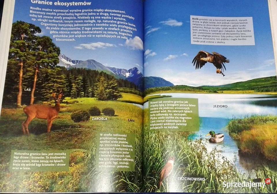 Ciekawa biologia Cz 3 E Kłos W Kofta lubelskie Chełm