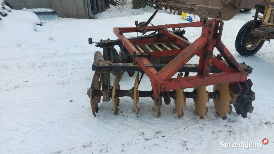 Talerzowka mazowieckie Stara Kornica