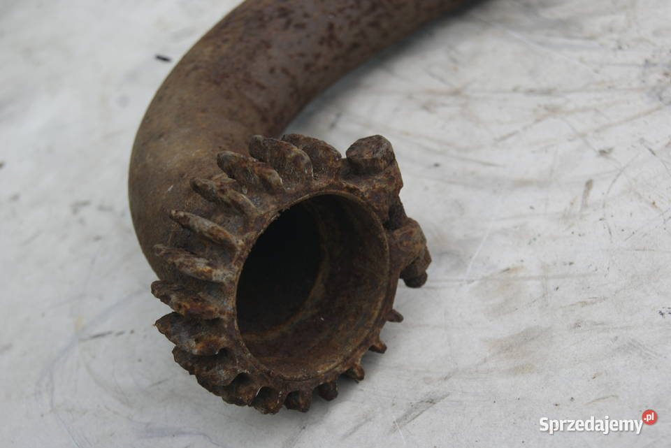 KOLANKO TRIUMPH VICTORIA ARDI ADLER Rybnik