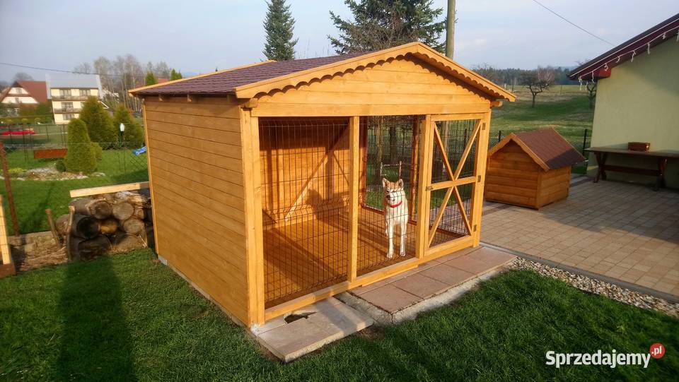 Kojec psa Jordanów