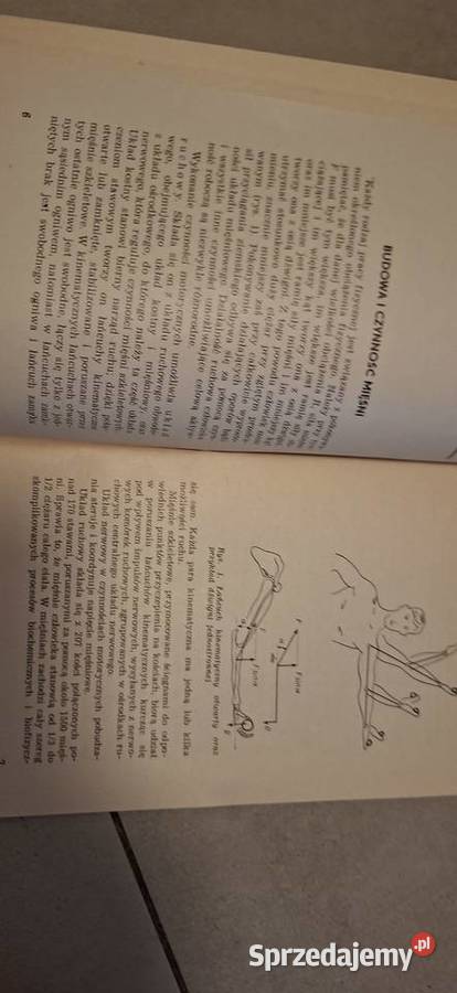 Ciężka praca fizyczna Andrzej Rogoziński 2 wielkopolskie Łęczyca