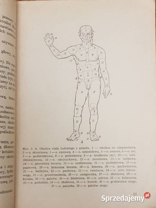 Pierwsza pomoc przedlekarska dr Jerzy Ejmont Łódź