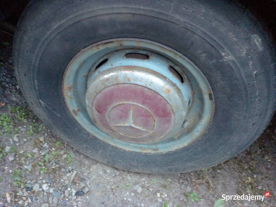 Mercedes obrony kombi Binz Lochr