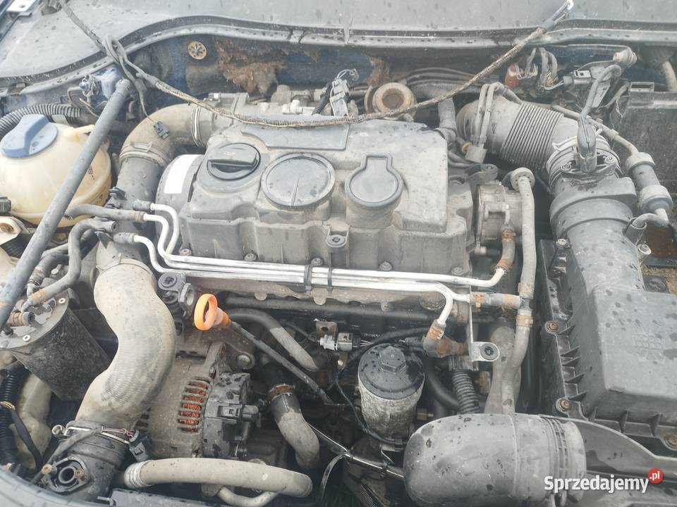 Silnik 20 TDI passat b6 skrzynia DSG Prażmów