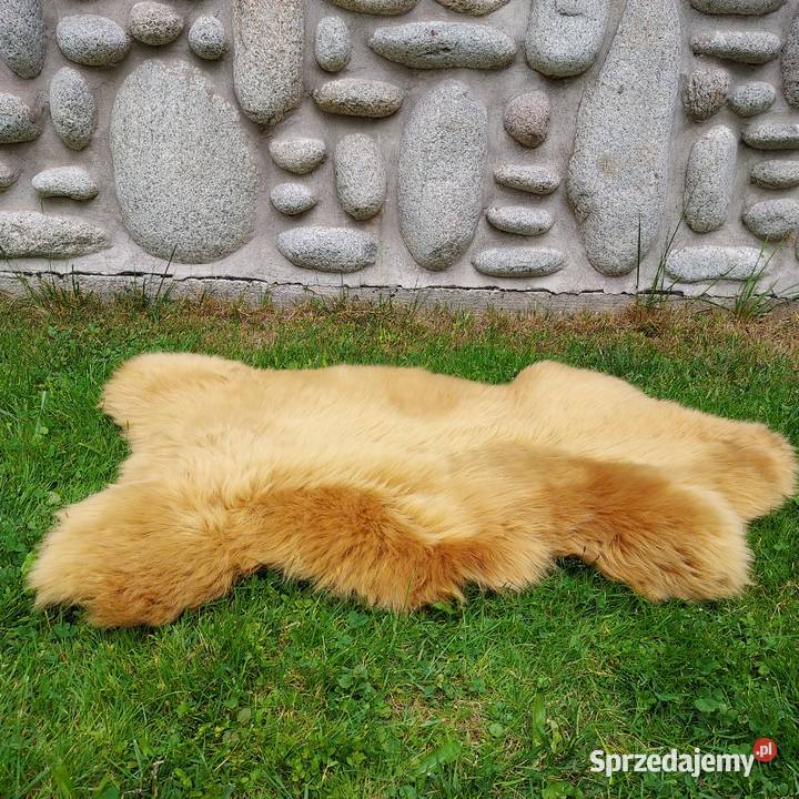 Skóra Owcza Naturalna Kolor Musztardowy Skóry Szaflary