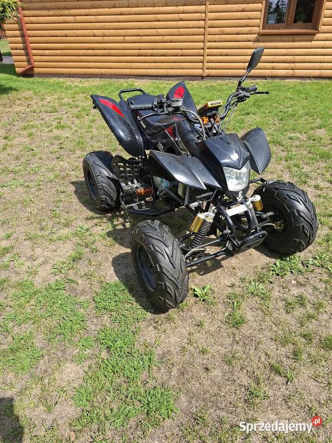 Bashan 200 Bashan Wierzbin sprzedam