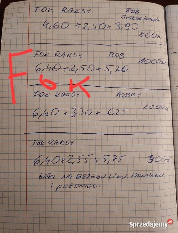 Żagiel spinaker wielkopolskie Poznań