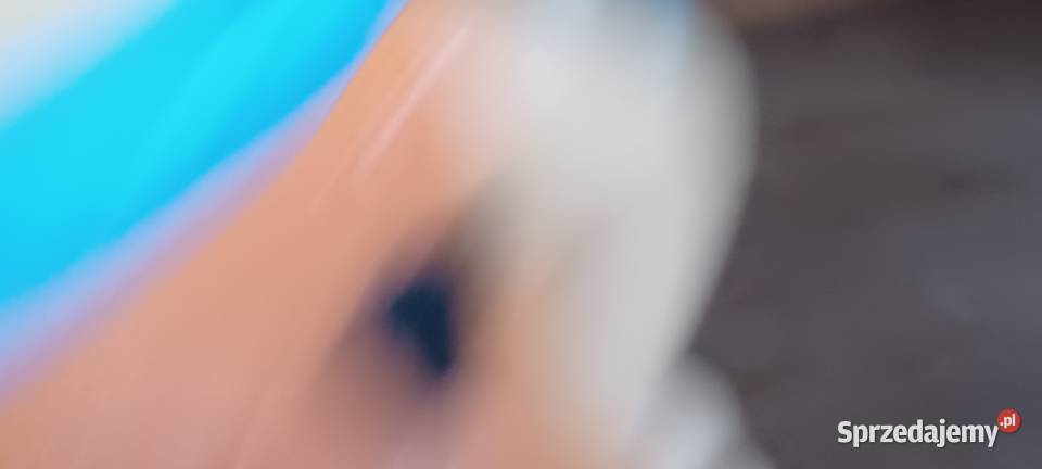 skarbonka z lat 7090 tych Postać Freda 6m+ Poznań