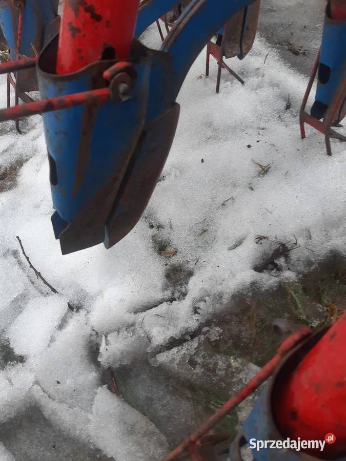 Siewnik stegsted 3 M Żelechów