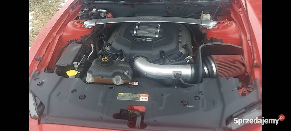 Mustang Gt California Special Convertible 2014r Rososza