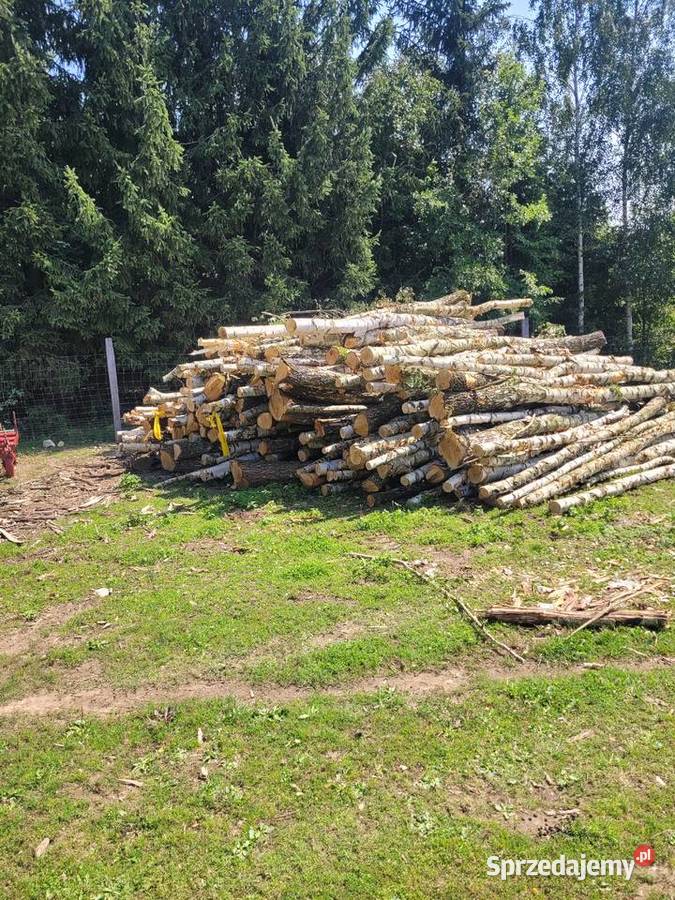 Drewno opałowe Opał Kamieniec Ząbkowicki
