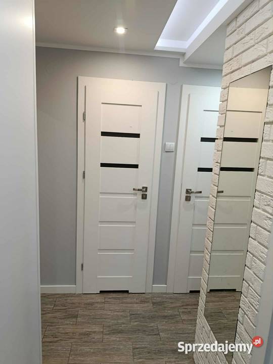 wynajmę mieszkanie 39 mkw na parterze mazowieckie