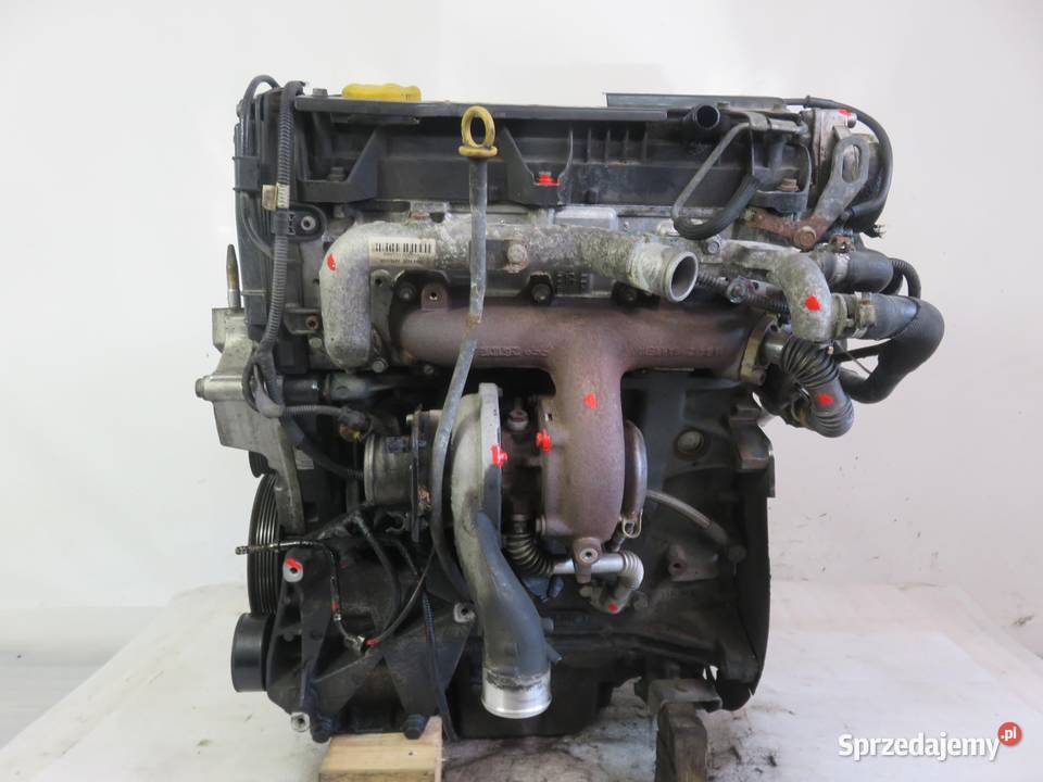 SILNIK SUZUKI SX4 19 DDiS 120 D19AA KOMPLETNY osobowe