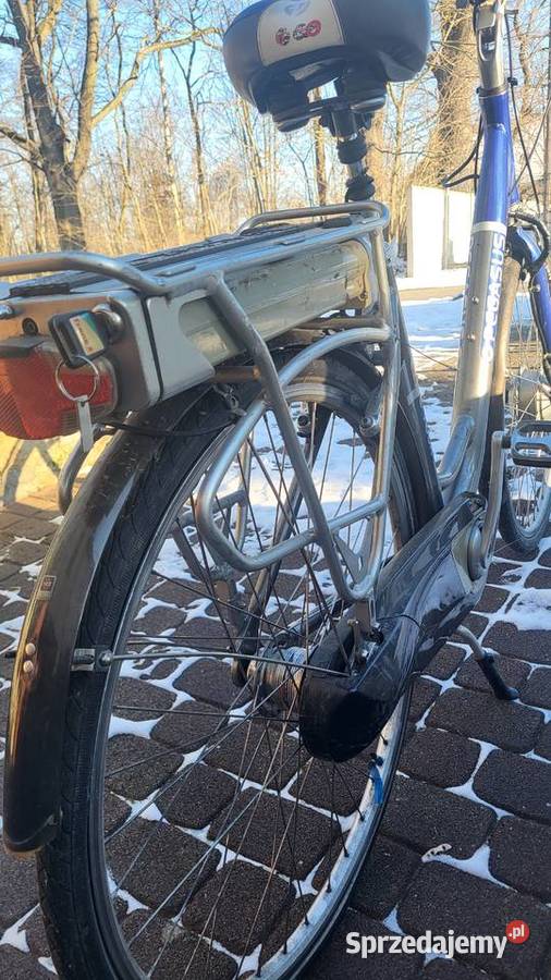 Rower elektryczny Pegazus Elektryczne Lubsko