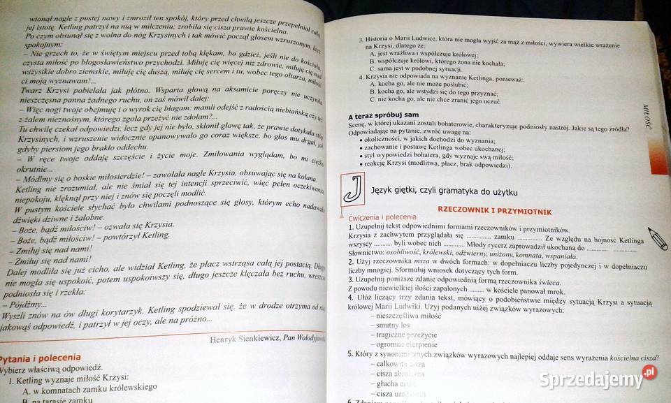 Czas na polski Podręcznik gimnazjalistów kl 1