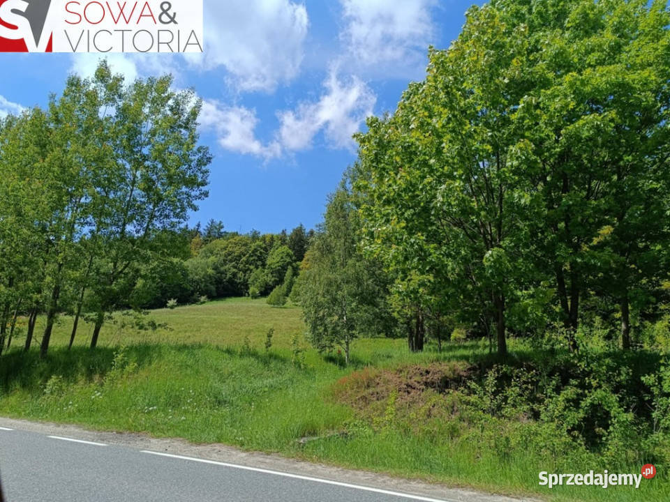 Działka budowlana 3 Wałbrzycha Promocja Jedlina-Zdrój