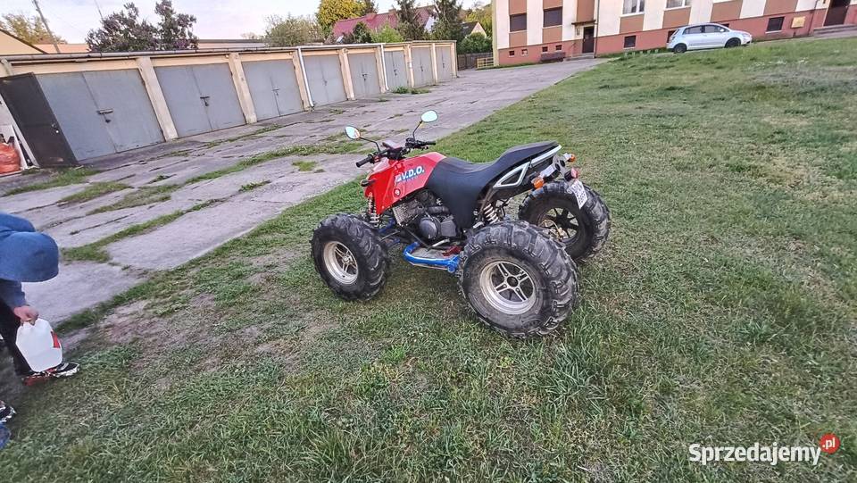 Quad Bashan pitbull Solec Kujawski