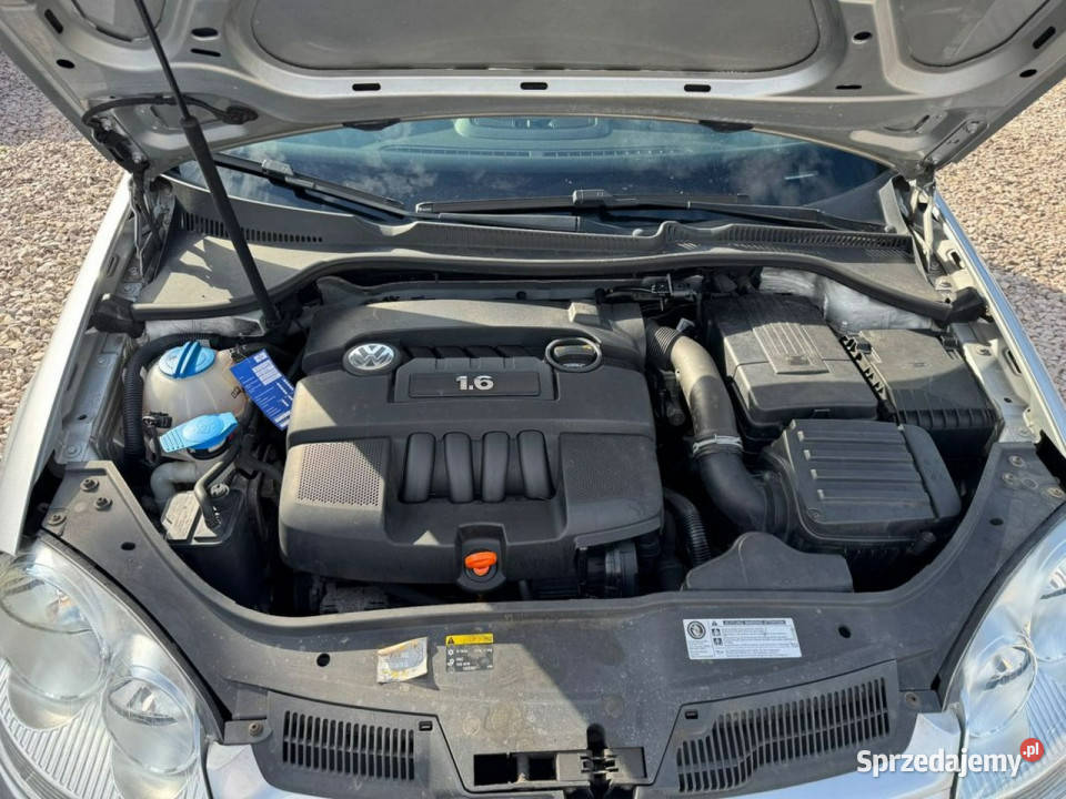 Volkswagen Golf Vw Golf V 16 mpi 2006 Ładny Stan ESP