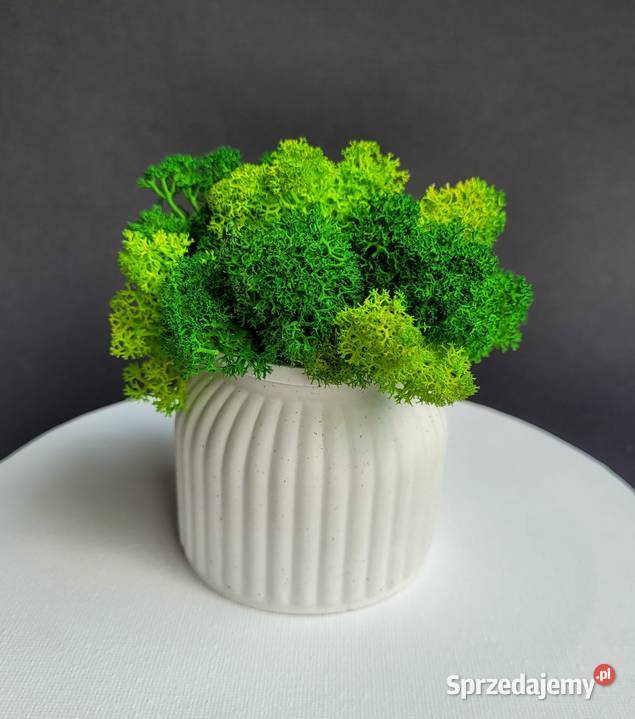 Zestawy dekoracyjne z kwiatami świeca zapachowa Poznań sprzedam