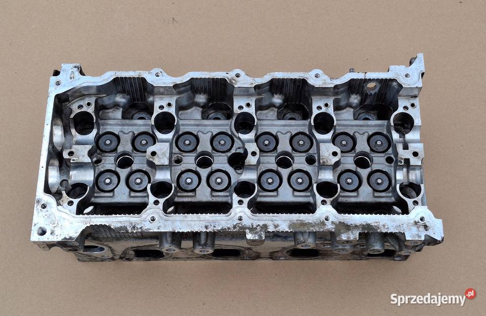 NISSAN RENAULT GŁOWICA 5X0 2L 20DCI 22DCI 25DCI Bieleń