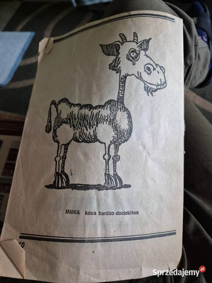 Folwark zwierzęcy komiks