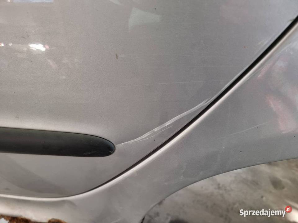 DRZWI LEWE TYŁ PEUGEOT 206 EZR Lipno