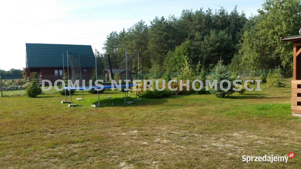 Sprzedam działka Syberia 3001m2 Sprzedaż