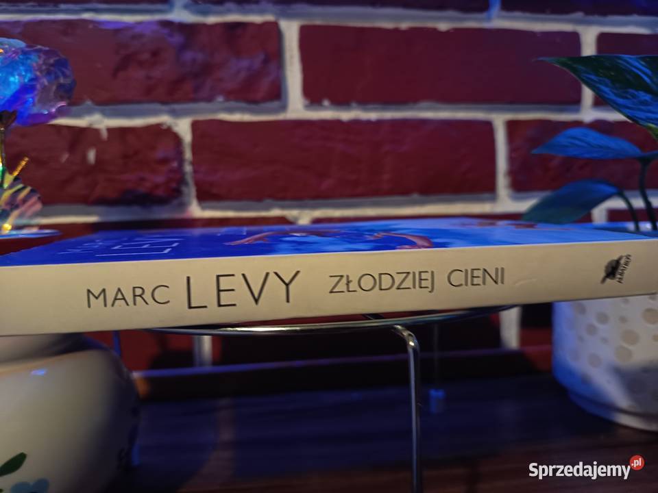 magia i dzieciństwo marc levy złodziej cieni Pozostałe Bydgoszcz