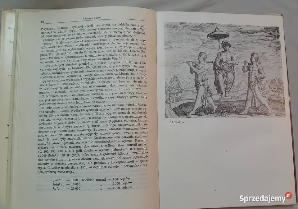 Georges Balandier Życie codzienne w państwie Koźminek sprzedam