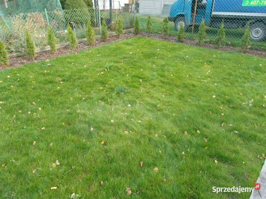 Uslugi ogrodnicze Wodzierady