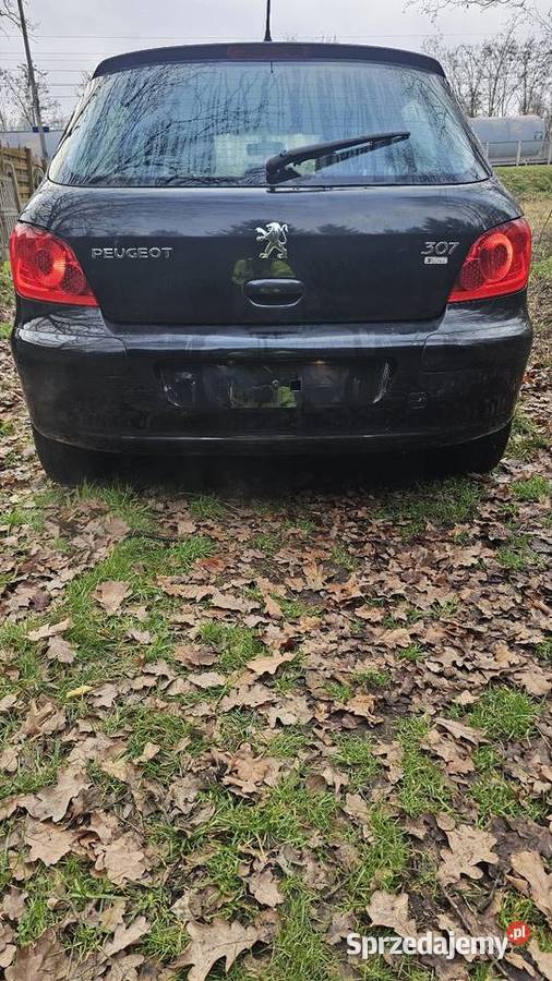 Peugeot 307 14 16v sprzedam