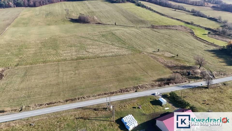 Grunt Zdynia 2762m2 prąd