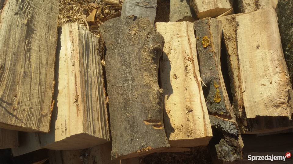 DREWNO TWARDE PROMOCJA Morąg sprzedam