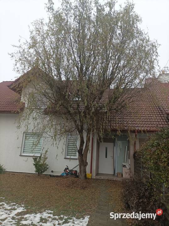 Mieszkanie 100m2 Mirków sprzedam