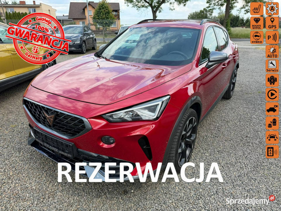 Cupra Formentor hybryda plugin VZ zarejestrowana Zbąszyń