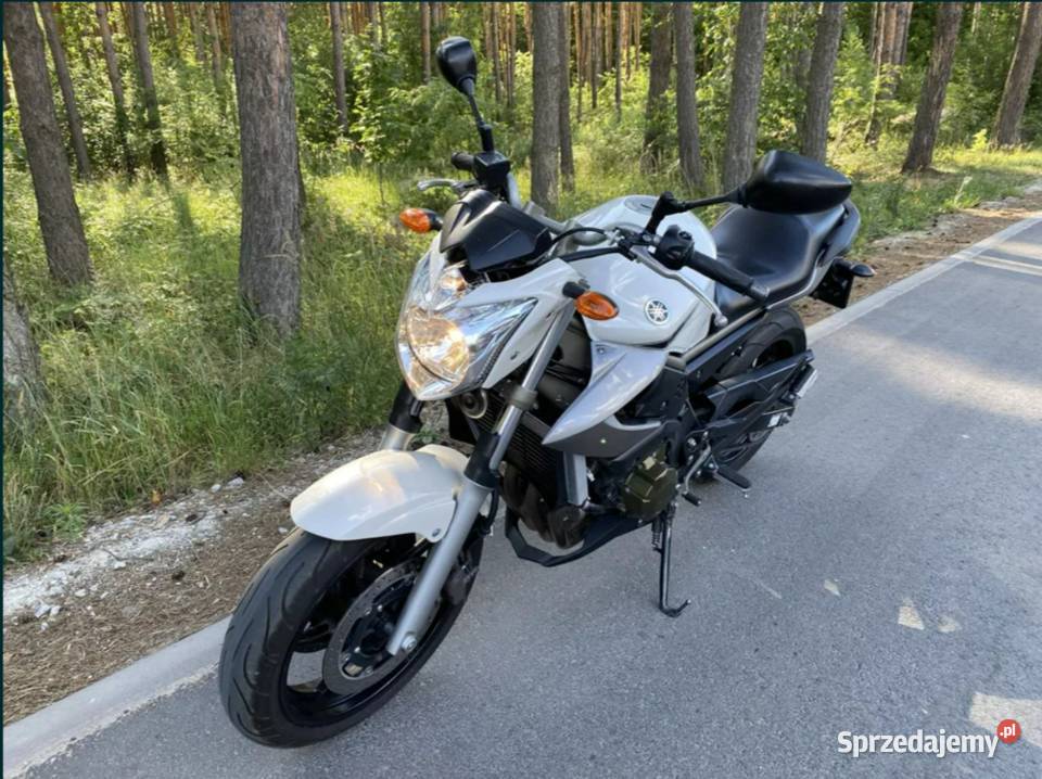 Motocykl Yamaha XJ6 nieuszkodzony dolnośląskie Domaszczyn