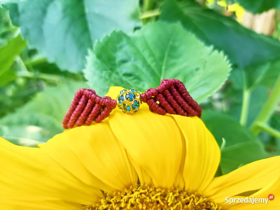 Bransoletki skrzydła Bukowina Tatrzańska